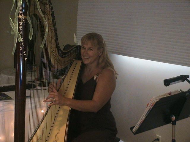 Jerilyn the Harpist